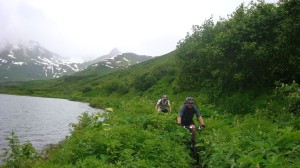 Kenai 250 — Bikepacking in bear country